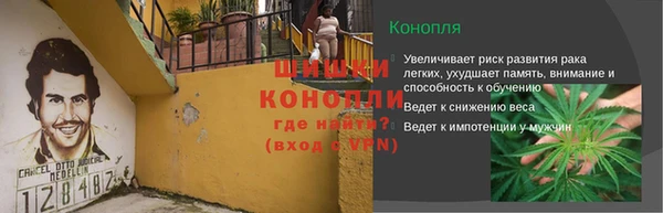 трава Балахна