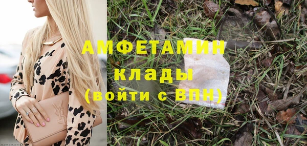 трава Балахна